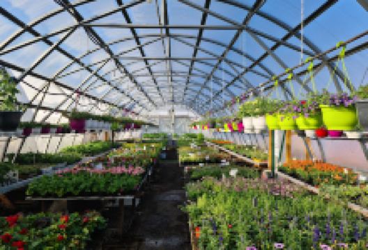 Sikassaare Aiand购物图片