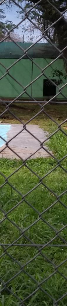 Botanical Garden of Asunción-亚松森