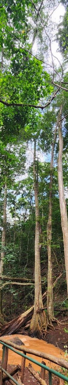 The Maasai Market-内罗毕