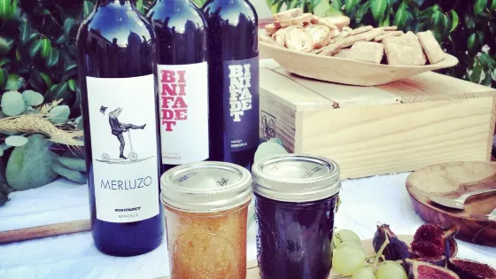 Bodegas Binifadet