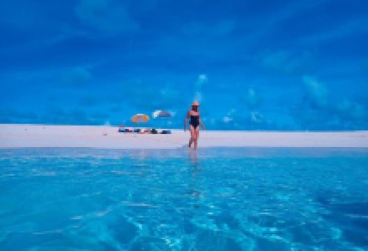 Grand Turk Diving购物图片