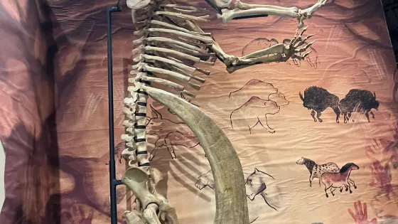 Weis Earth Science Museum