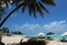 Carib Beach Bar美食图片