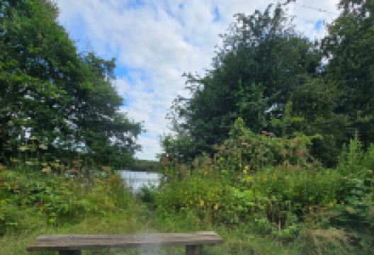 Brereton Heath Local Nature Reserve景点图片