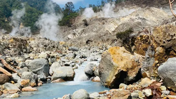 Halimun Salak National Park