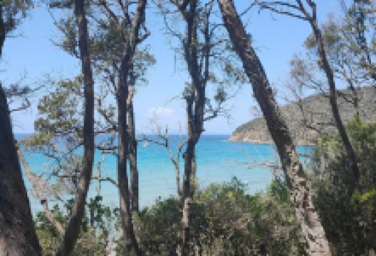 Riserva Naturale Scarlino景点图片