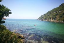 Spiaggia dei Sassolini景点图片