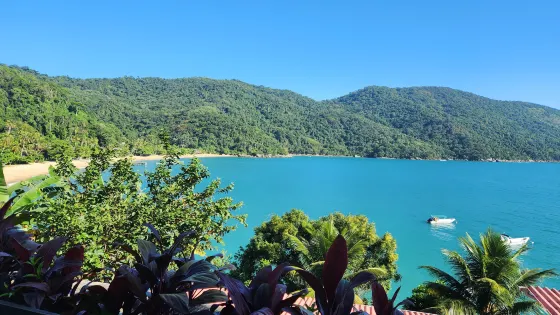 Grande das Palmas Beach
