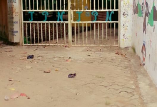 Jardin des Plantes et de la Nature景点图片