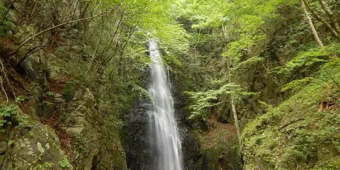 Hyakuhironotaki Falls