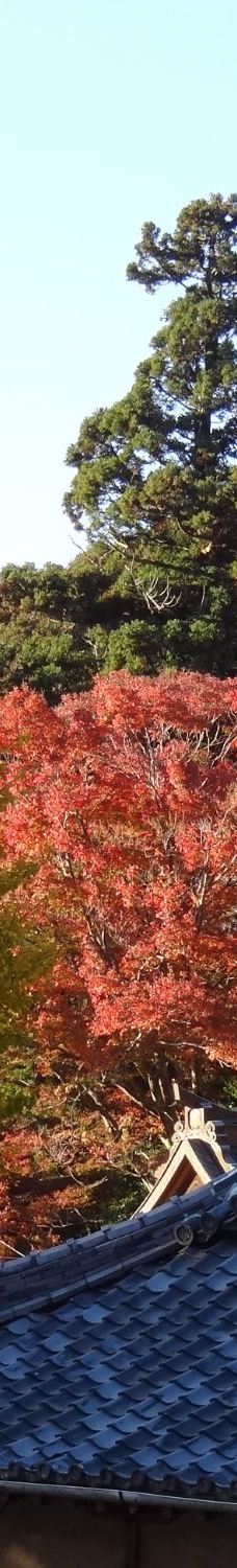 Fumon-ji Temple-丰桥市