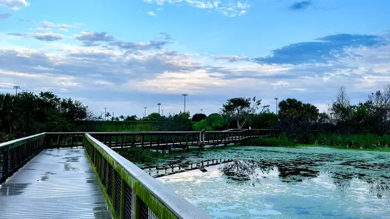 Peaceful Waters Sanctuary