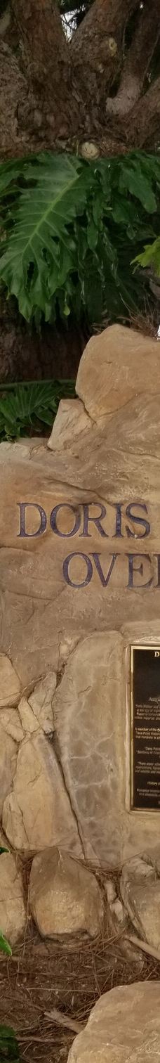 Doris Walker Overlook-达纳点