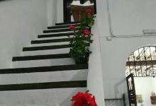 Museo Bodega El Alfoli景点图片