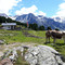 Malga dei Vitelli