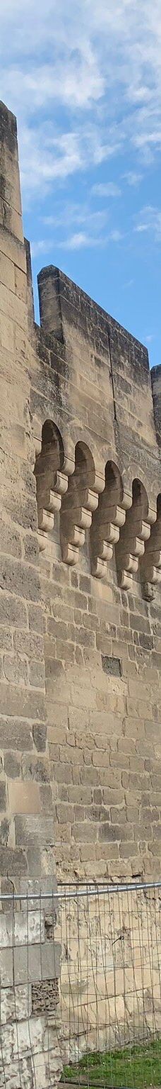 阿维尼翁城墙-阿维尼翁