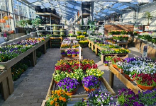 Hageland Nathanielsen/Harstad购物图片