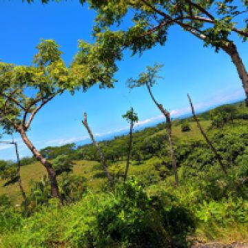 圣胡安包蒂斯塔－图斯特佩克图片