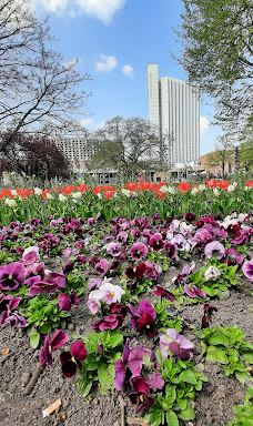 Museum Roter Turm-开姆尼茨