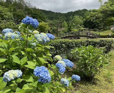 矢野温泉公園四季の裏