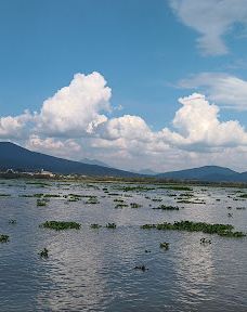 Muelle San Pedrito-帕茨夸罗