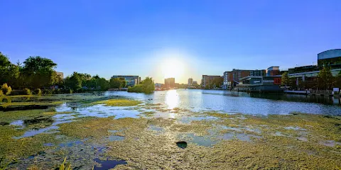 Brayford Pool