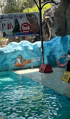 Seal and Penguin Park-宋卡