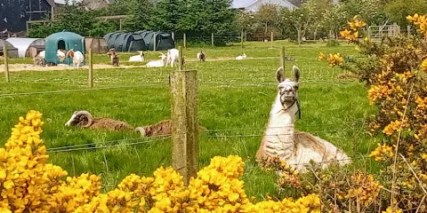 Willows Animal Sanctuary