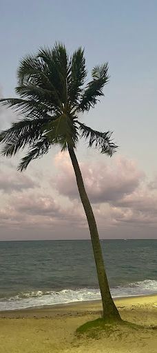 The Rhea Memorial-马塞约