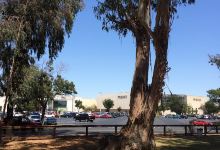 Shirley Sisk Grove景点图片