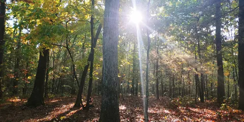 Green Ridge State Forest