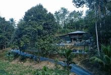 Udomsuk Garden景点图片