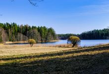 Saare järve õpperada景点图片
