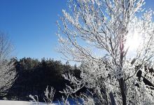 Bruce Trail 1st Line EHS景点图片