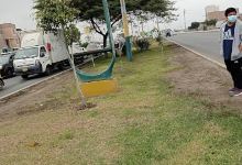 Alameda 28 De Julio景点图片