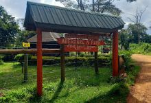 Ark Gate KWS Aberdare National Park景点图片