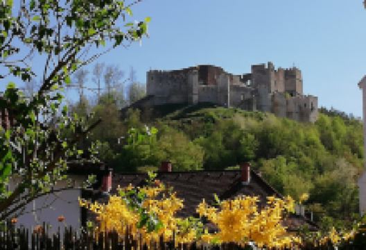 Duftrosengärtlein mit Brunnen景点图片