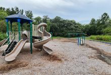 Boyette Springs Park景点图片