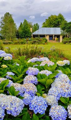 The Edge Labyrinth-阿玛索雷区自治市