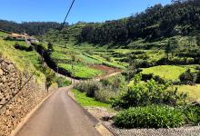 Levada da Ponta do Pargo景点图片
