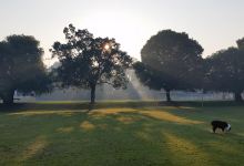 Walter Road Reserve景点图片