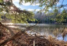 High Tor DEC Trail Head景点图片