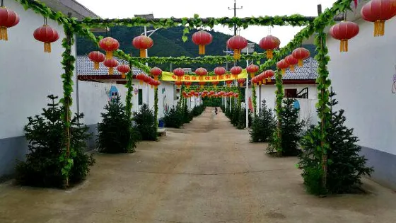 吉縣桑峨牡丹園