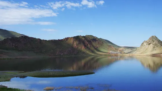 白鳥湖濕地
