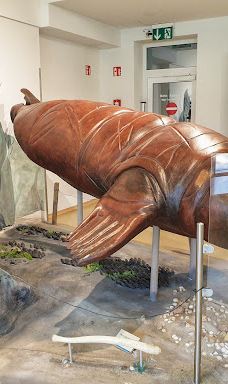 Seehundstation und Waloseum-诺德代希