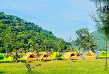 CoConut trees Campsite景点图片