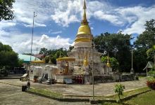 Wat Phra Chedi Wang Khrai景点图片