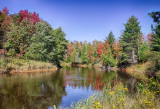 Mead Creek State Forest Campground景点图片