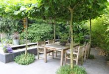 Eric Kuipers Tuinaanleg en Onderhoud景点图片