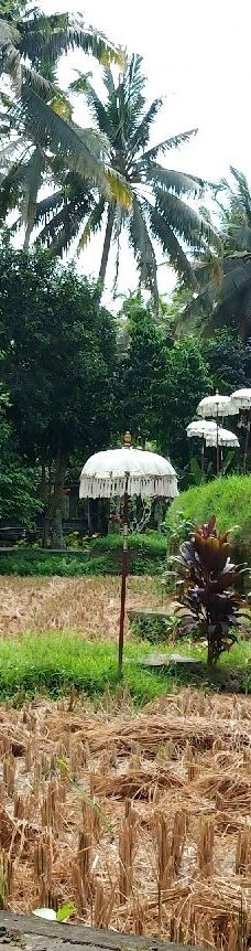 阿尔玛美术馆-巴厘岛